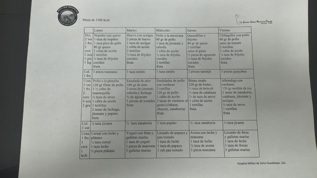 Plan alimentario 1500 kcal · referencia visual