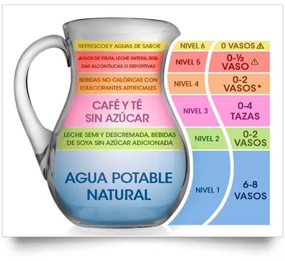 Complemento visual de nutrición 3