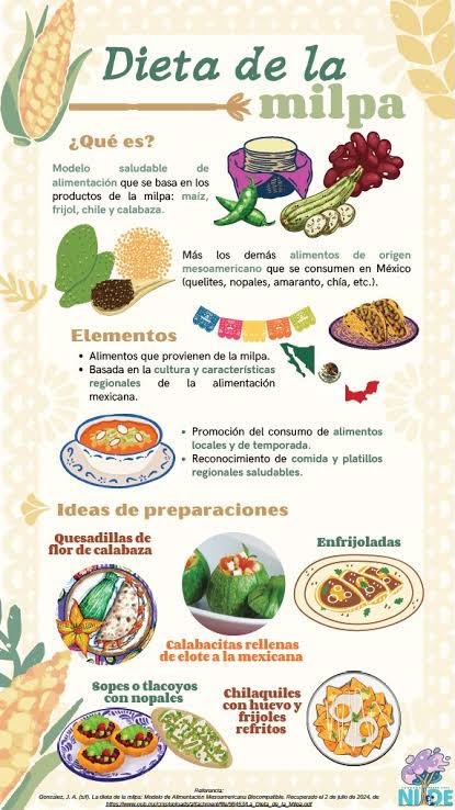 Complemento visual de nutrición 5