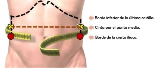 Referencia anatómica para identificar el punto medio de la cintura